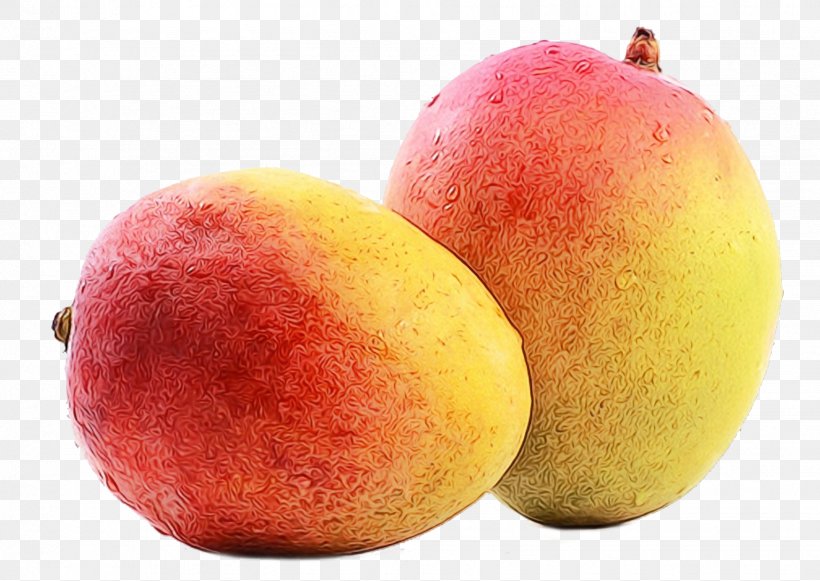 Mango Tree, PNG, 1748x1240px, Food, Apple, Apricot, Diet, Diet Food Download Free