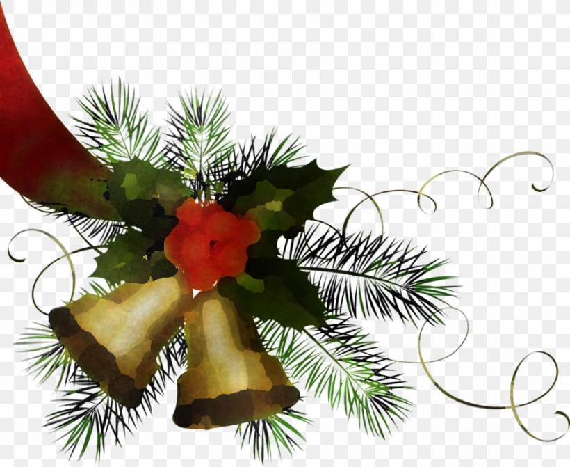 Christmas Decoration, PNG, 900x737px, Oregon Pine, Branch, Christmas, Christmas Decoration, Christmas Eve Download Free