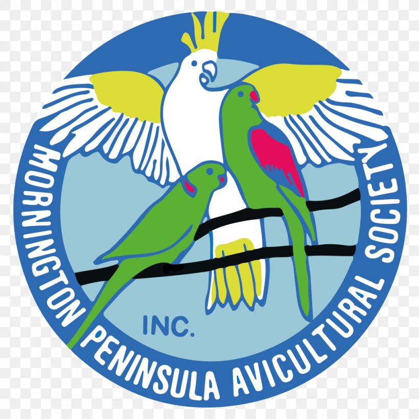MPAS Mornington Peninsula Avicultural Society Bird Parrot Aviculture Macaw, PNG, 1024x1024px, Bird, Area, Artwork, Australia, Aviary Download Free