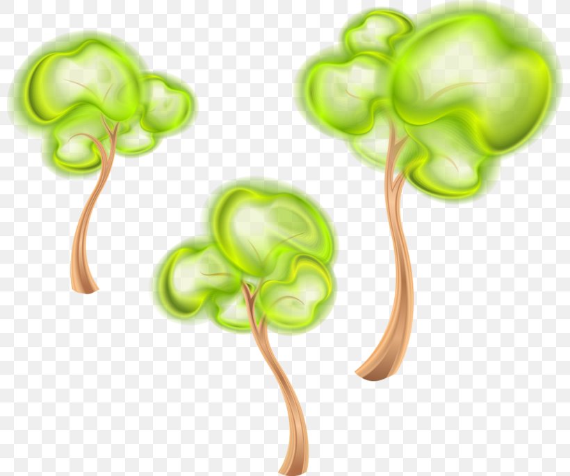 Tree Green Illustration, PNG, 800x686px, Tree, Cdr, Drawing, Green, Organism Download Free
