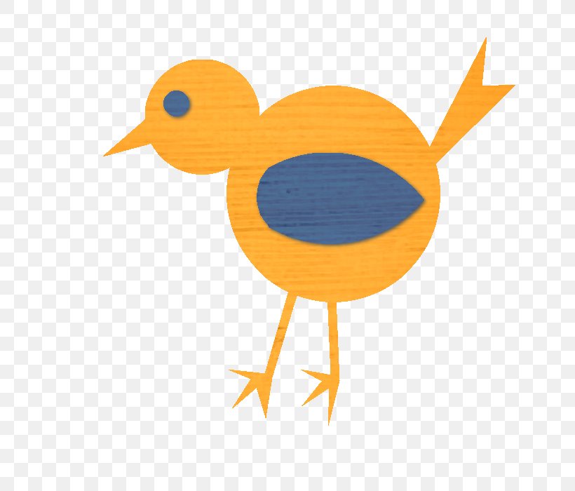 Beak Summer Orange S.A. Clip Art, PNG, 700x700px, Beak, Art, Bird, Chicken, Duck Download Free