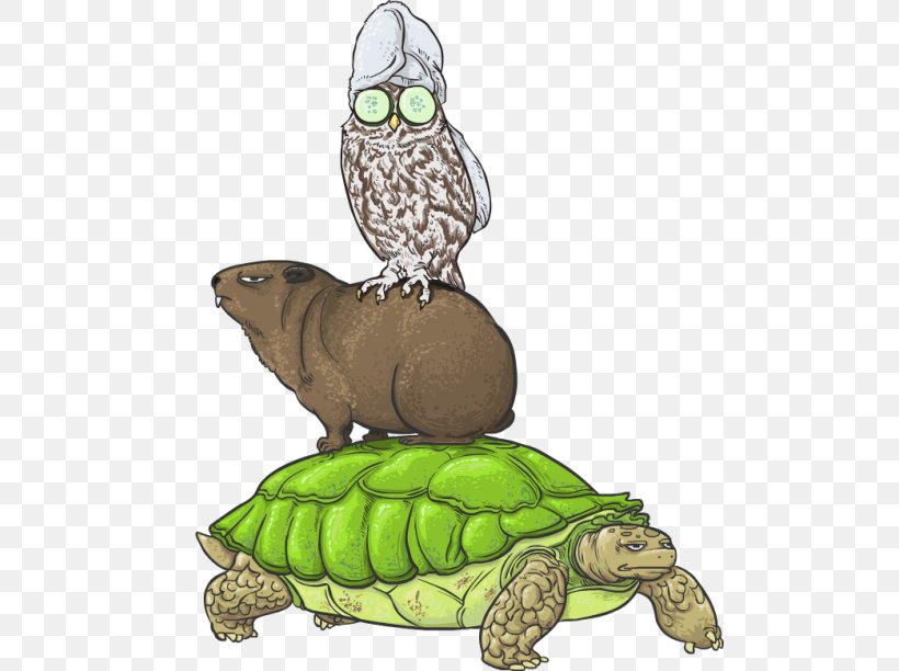Box Turtles True Frog Tortoise Sea Turtle, PNG, 500x612px, Box Turtles, Animal, Box Turtle, Cartoon, Emydidae Download Free