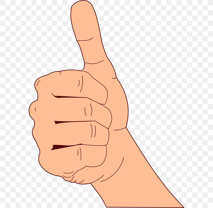 Thumb Signal Like Button Clip Art, PNG, 600x800px, Thumb, Arm, Facebook, Facebook Like Button, Finger Download Free