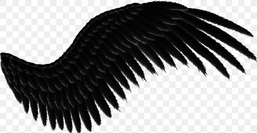 Wing Gift Carnival, PNG, 900x466px, 2014, Wing, Beak, Black And White, Carnival Download Free