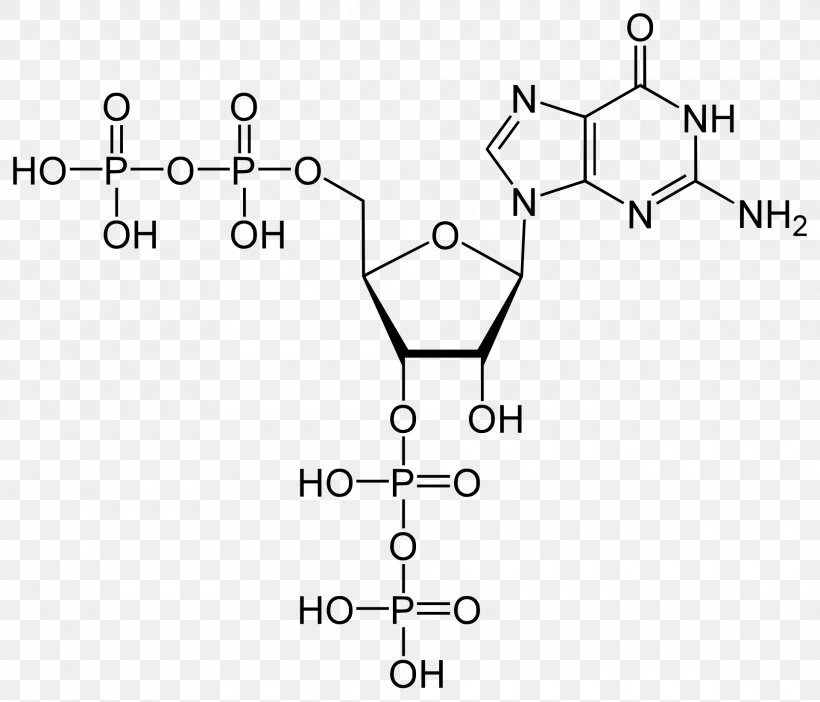 Adenosine Triphosphate Molecule Adenosine Diphosphate Cellular Respiration, PNG, 1920x1644px, Adenosine Triphosphate, Adenine, Adenosine, Adenosine Diphosphate, Area Download Free