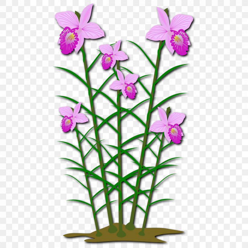 Arundina Plant Clip Art, PNG, 2400x2400px, Arundina, Cut Flowers, Dendrobium, Flora, Floral Design Download Free