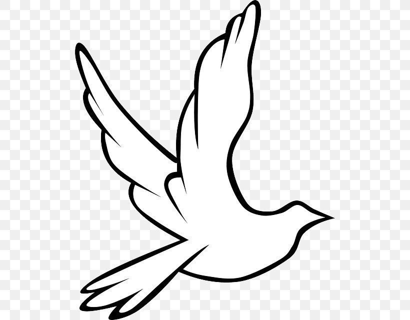 Doves As Symbols Peace Symbols Hope Christian Symbolism, PNG, 520x640px, Doves As Symbols, Arm, Art, Artwork, Beak Download Free
