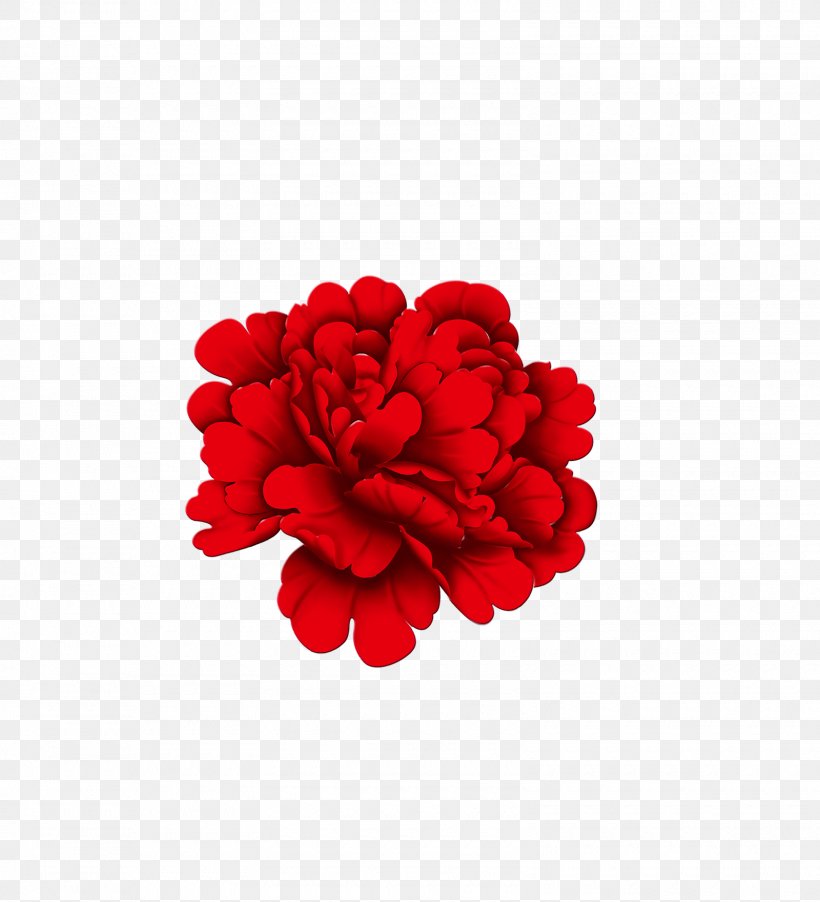 Download, PNG, 1600x1761px, Computer Graphics, Carnation, Cut Flowers, Floral Design, Floristry Download Free