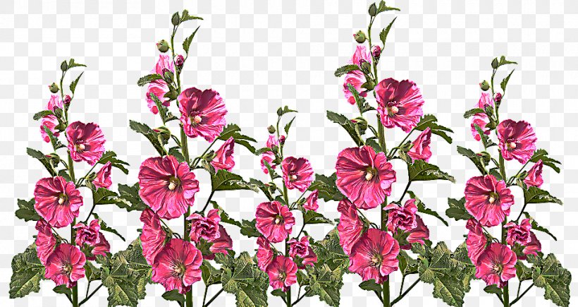 Flower Flowering Plant Plant Cut Flowers Pink, PNG, 960x510px, Flower, Cut Flowers, Flowering Plant, Gladiolus, Pedicel Download Free