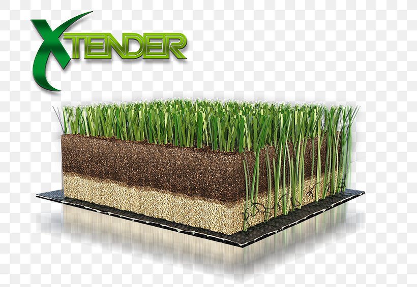 Lawn Artificial Turf Green FIFA 18 Wheatgrass, PNG, 752x566px, Lawn, Artificial Turf, Commodity, Corporation, Fifa Download Free