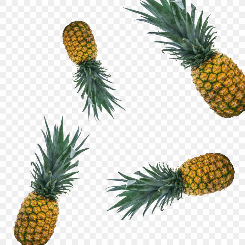 Pineapple Bromeliads Food Fruit, PNG, 2048x2048px, Pineapple, Ananas, Beach, Bromeliaceae, Bromeliads Download Free