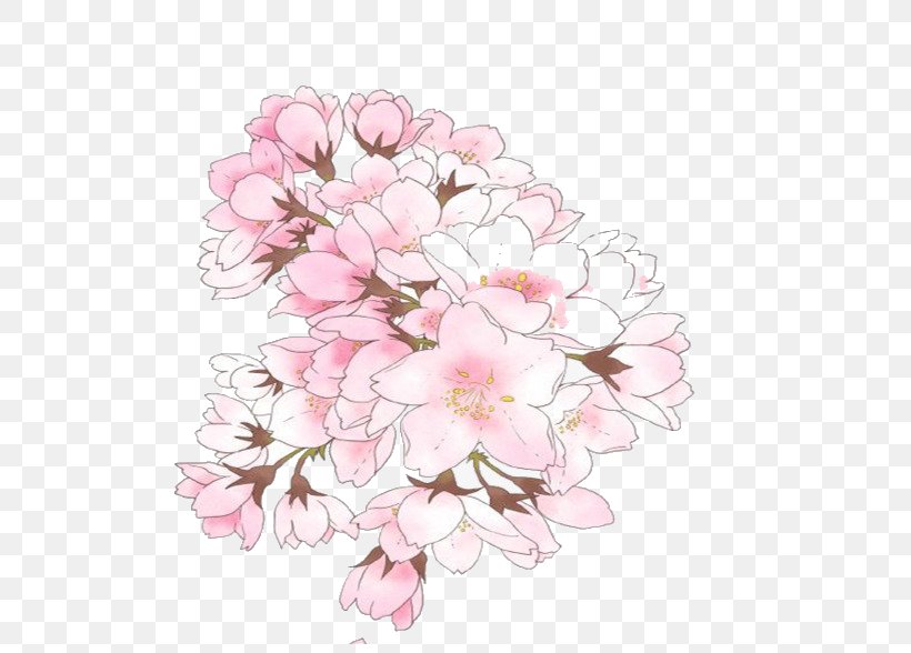 Cherry Blossom Illustration Image Drawing, PNG, 660x588px, Cherry Blossom, Art, Blossom, Cherries, Cut Flowers Download Free
