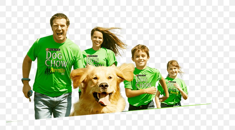 Dog Breed Companion Dog T-shirt Human Behavior, PNG, 776x455px, Watercolor, Cartoon, Flower, Frame, Heart Download Free