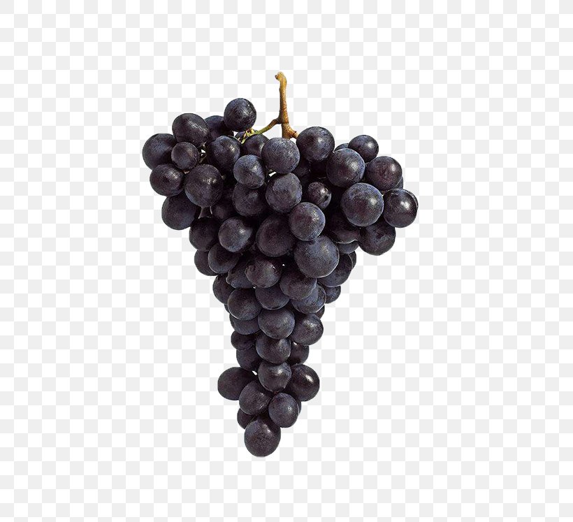 Kyoho Grape Raceme, PNG, 550x747px, Kyoho, Common Grape Vine, Diagram, Drawing, Flowering Plant Download Free