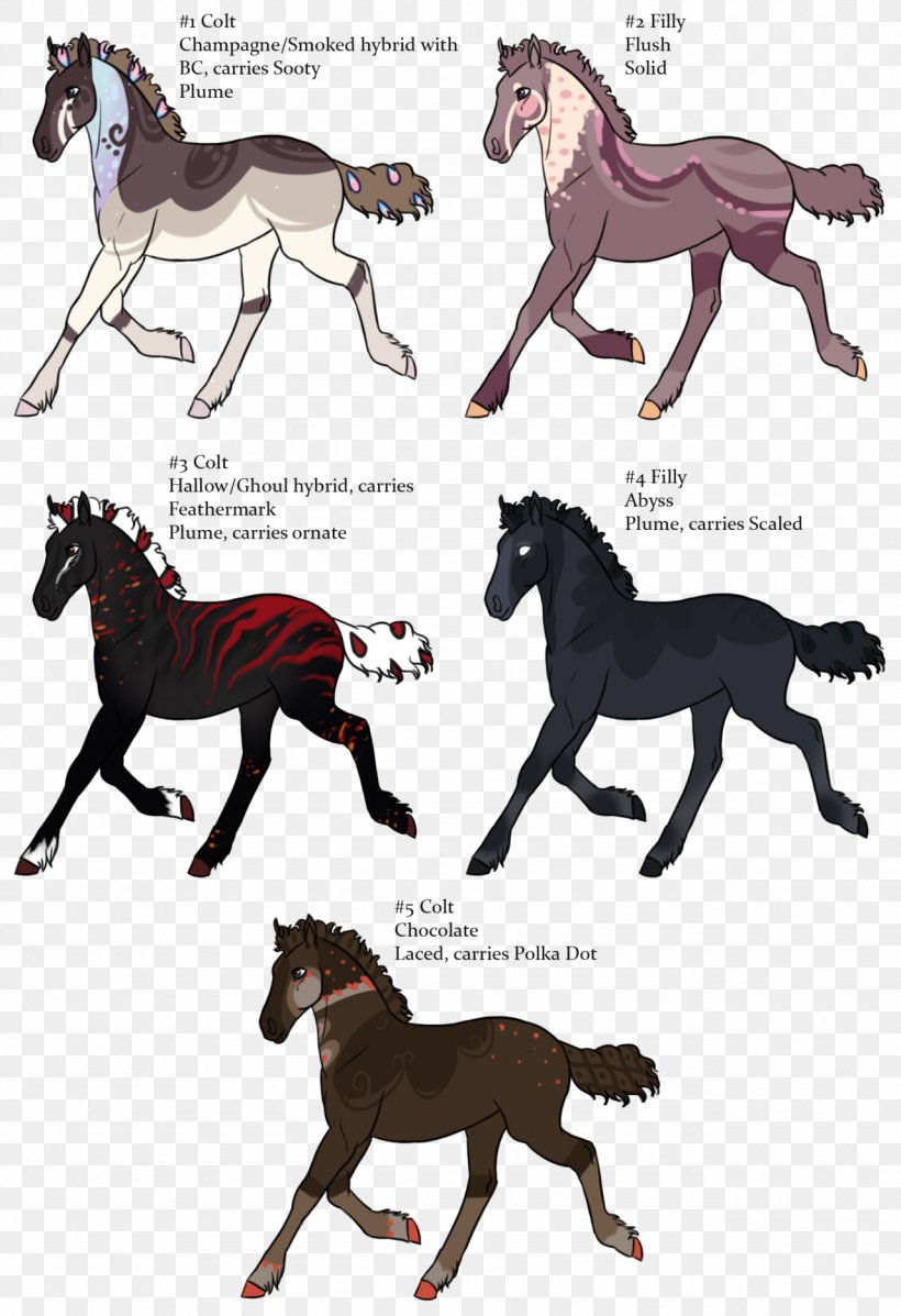 Mustang Stallion Foal Pony Pack Animal, PNG, 1280x1870px, Mustang, Carnivora, Carnivoran, Fauna, Foal Download Free