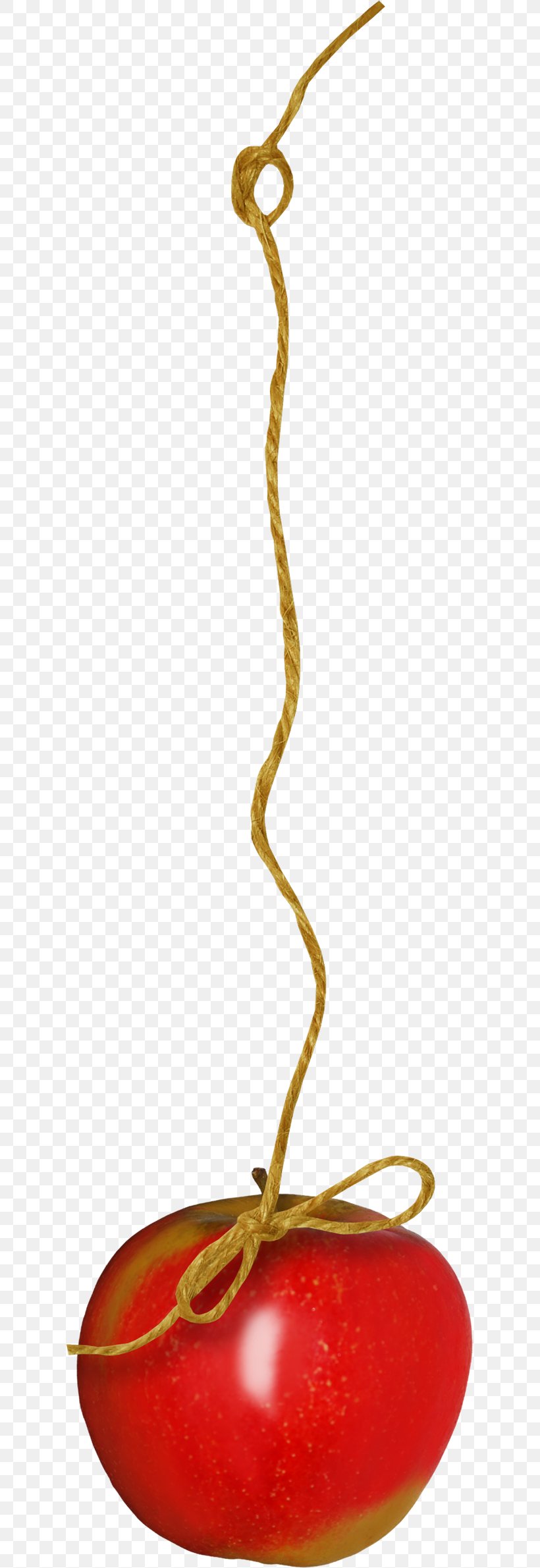 Paper Clip Art, PNG, 619x2381px, Paper, Computer Software, Database, File Size, Food Download Free