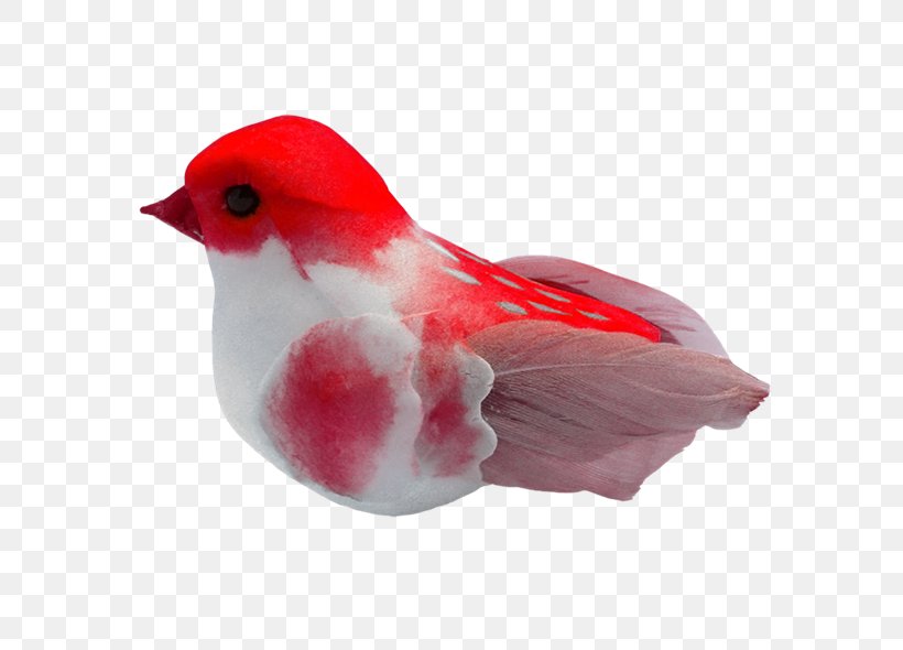 Bird Flight Beak, PNG, 600x590px, Bird, Animal, Beak, Cardinal, Feather Download Free