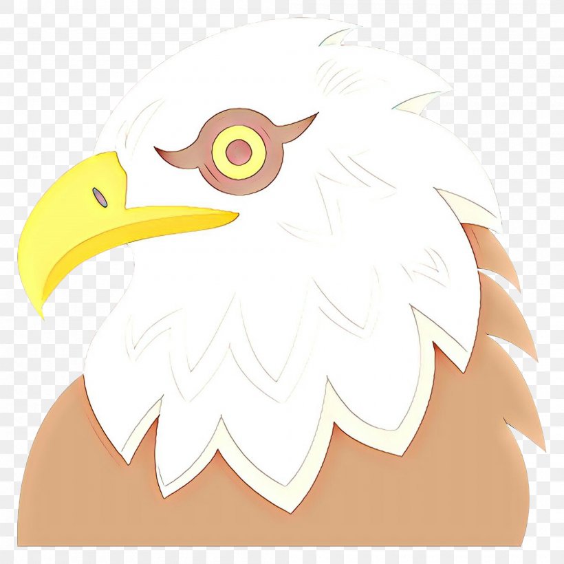 Eagle Bird, PNG, 2000x2000px, Cartoon, Accipitriformes, Bald Eagle, Beak, Bird Download Free
