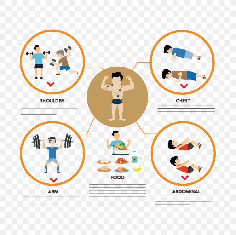 Euclidean Vector Physical Exercise Icon, PNG, 1181x1181px, Physical Exercise, Area, Brand, Chart, Computer Graphics Download Free