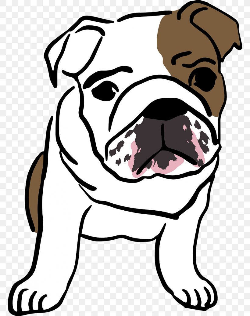 French Bulldog Olde English Bulldogge Puppy American Bulldog, PNG, 768x1035px, Bulldog, American Bulldog, Artwork, Carnivoran, Collar Download Free