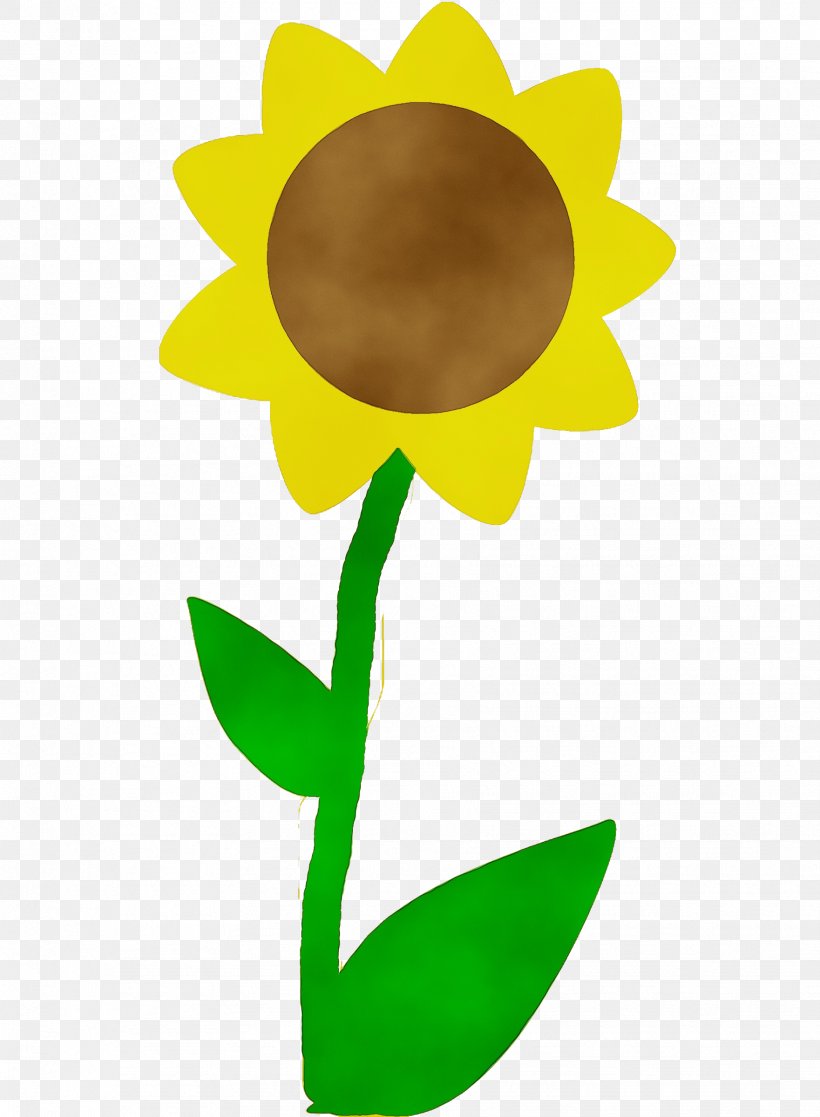 Sunflower, PNG, 1761x2400px, Watercolor, Flower, Flowering Plant, Paint, Plant Download Free