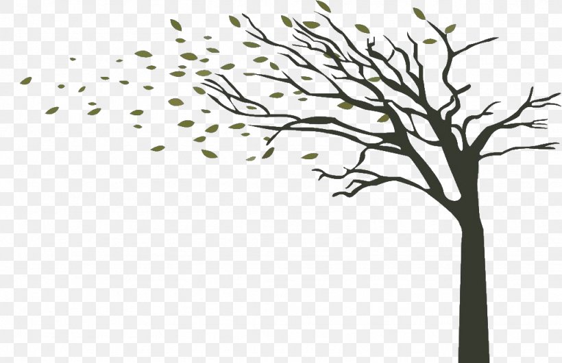 Tree Wind Branch Drawing, PNG, 1024x661px, Tree, Area, Autumn, Autumn Leaf Color, Black And White Download Free