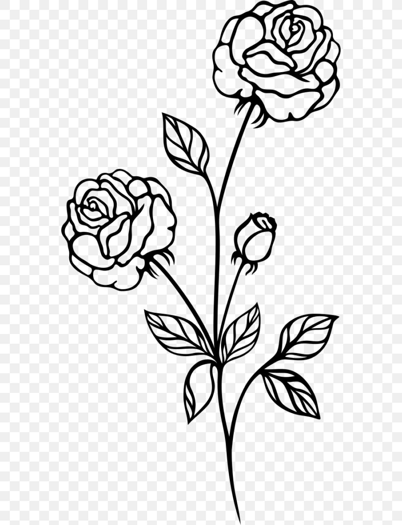 Drawing Rose Clip Art, PNG, 570x1069px, Drawing, Art, Artwork, Autocad Dxf, Black And White Download Free