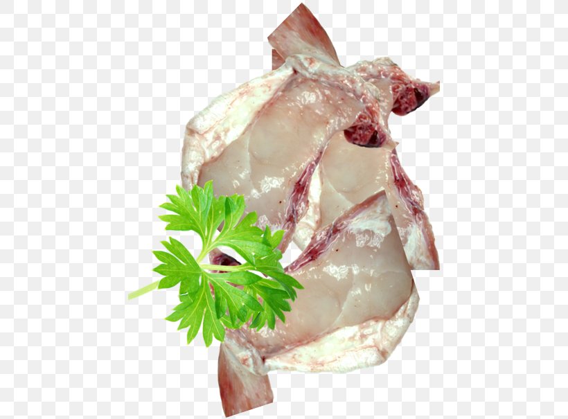 Fish Fillet Seafood Cod, PNG, 450x605px, Fillet, Animal Source Foods, Atlantic Cod, Bayonne Ham, Blue Grenadier Download Free