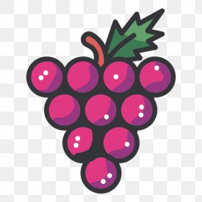 Grape Vector - Grape PNG