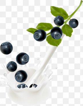 Blueberry Milk Drops Splash - Milk Bilberry Clip Art PNG