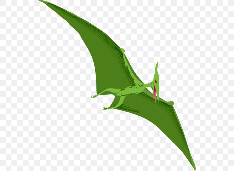 Pterodactyls Pteranodon Tyrannosaurus Triceratops Clip Art, PNG, 552x599px, Pterodactyls, Cdr, Dinosaur, Drawing, Flora Download Free