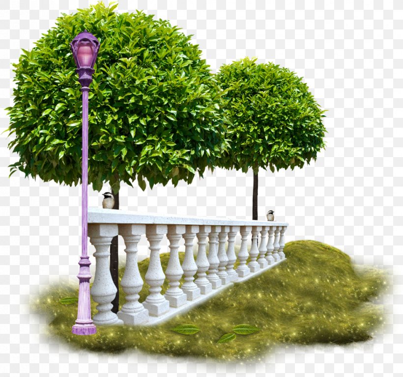 Gardening Trees For Small Gardens Flower Garden, PNG, 970x909px, Garden, Bonsai, Container Garden, Flower Garden, Forest Gardening Download Free