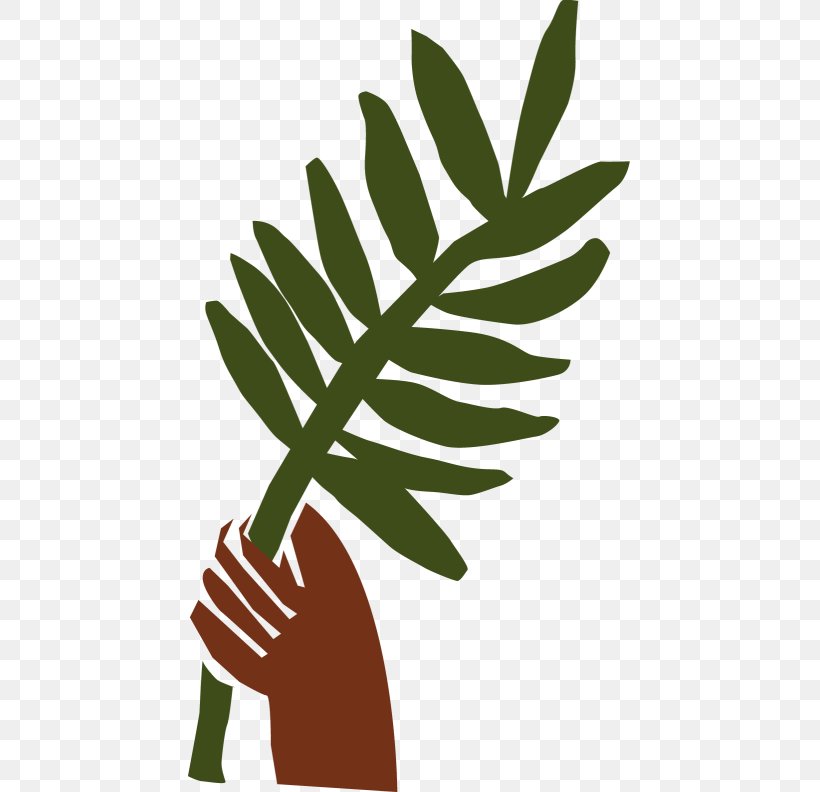 Palm Branch Palm Sunday Lds Clip Art Clip Art, PNG, 443x792px, Palm Branch, Arecaceae, Branch, Coryphoideae, Easter Palm Download Free