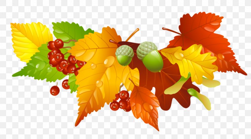 Autumn Leaf Clip Art, PNG, 1024x569px, Autumn, Autumn Leaf Color, Flower, Food, Fruit Download Free