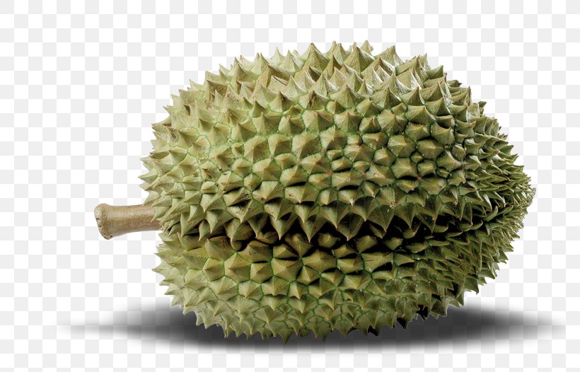 Durian Cempedak Artocarpus Camansi, PNG, 780x526px, Durian, Artocarpus Camansi, Breadnut, Cempedak, Food Download Free