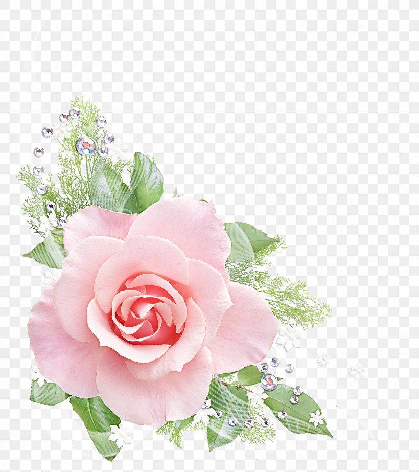 Garden Roses, PNG, 1774x1998px, Flower, Bouquet, Cut Flowers, Floral Design, Floribunda Download Free