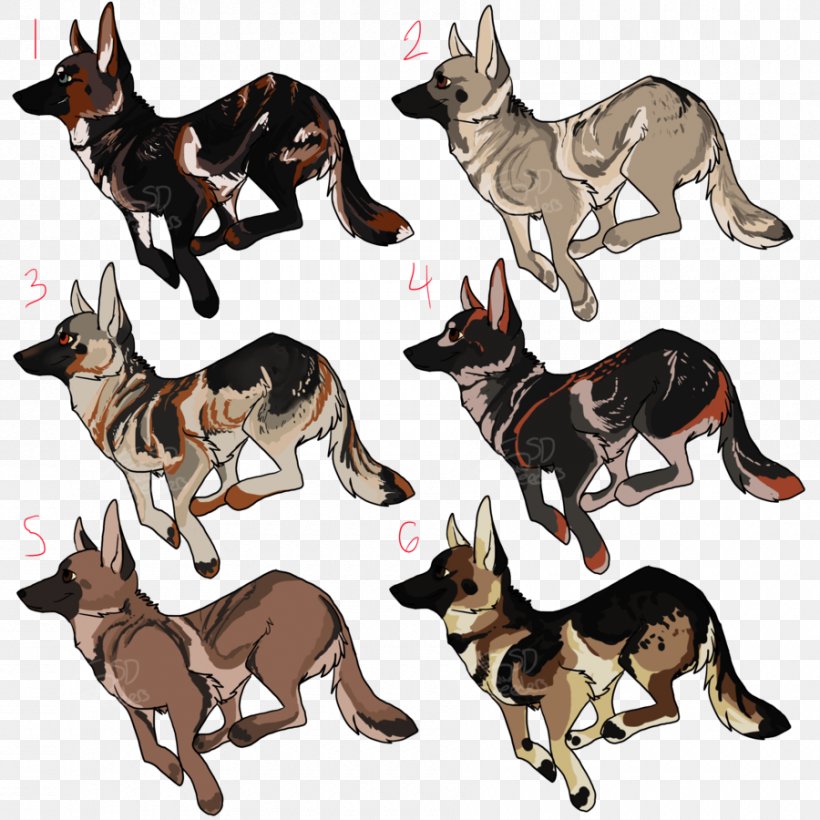 Kunming Wolfdog German Shepherd Australian Kelpie Dog Breed, PNG, 900x900px, Kunming Wolfdog, Australian Kelpie, Breed, Carnivoran, Dog Download Free