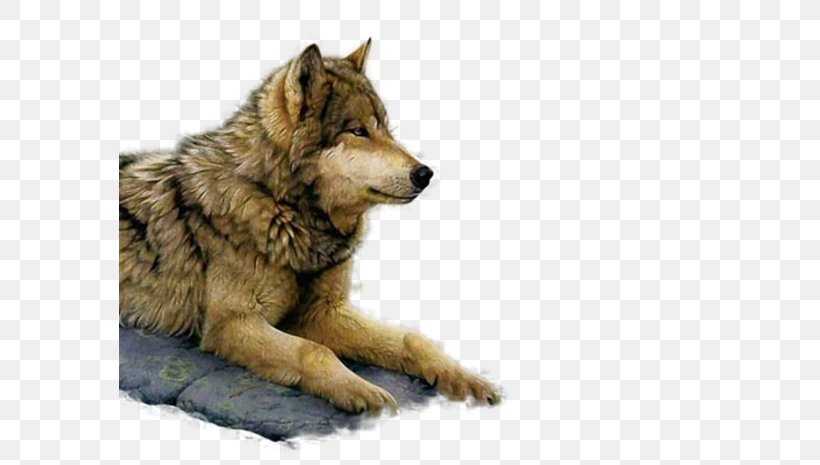 Painting Art Museum Gray Wolf Paint By Number, PNG, 581x465px, Painting, Art, Art Museum, Artist, Canis Lupus Tundrarum Download Free