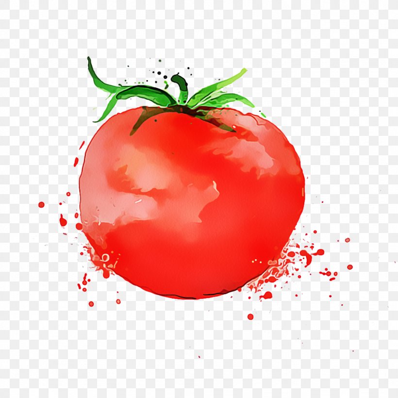 Tomato Cartoon, PNG, 1024x1024px, Plum Tomato, Bush Tomato, Cherry Tomatoes, Diet, Diet Food Download Free
