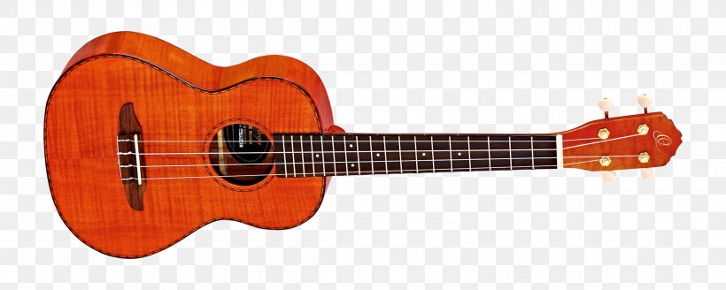 Ukulele Ibanez RG Guitar Amplifier Musical Instruments, PNG, 2500x1000px, Watercolor, Cartoon, Flower, Frame, Heart Download Free