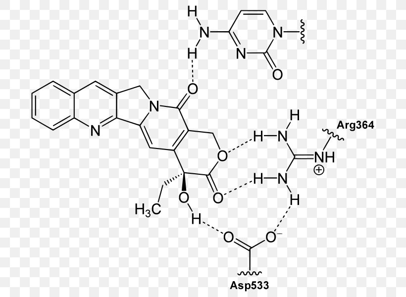 Camptothecin Quinoline Chemistry Alkaloid Topotecan, PNG, 715x600px, Camptothecin, Alkaloid, Area, Auto Part, Black And White Download Free