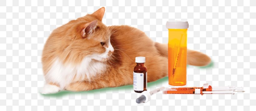 Dog Cat Veterinarian Pharmaceutical Drug Medicine, PNG, 768x357px, Dog, Cat, Cat Like Mammal, Health, Health Care Download Free