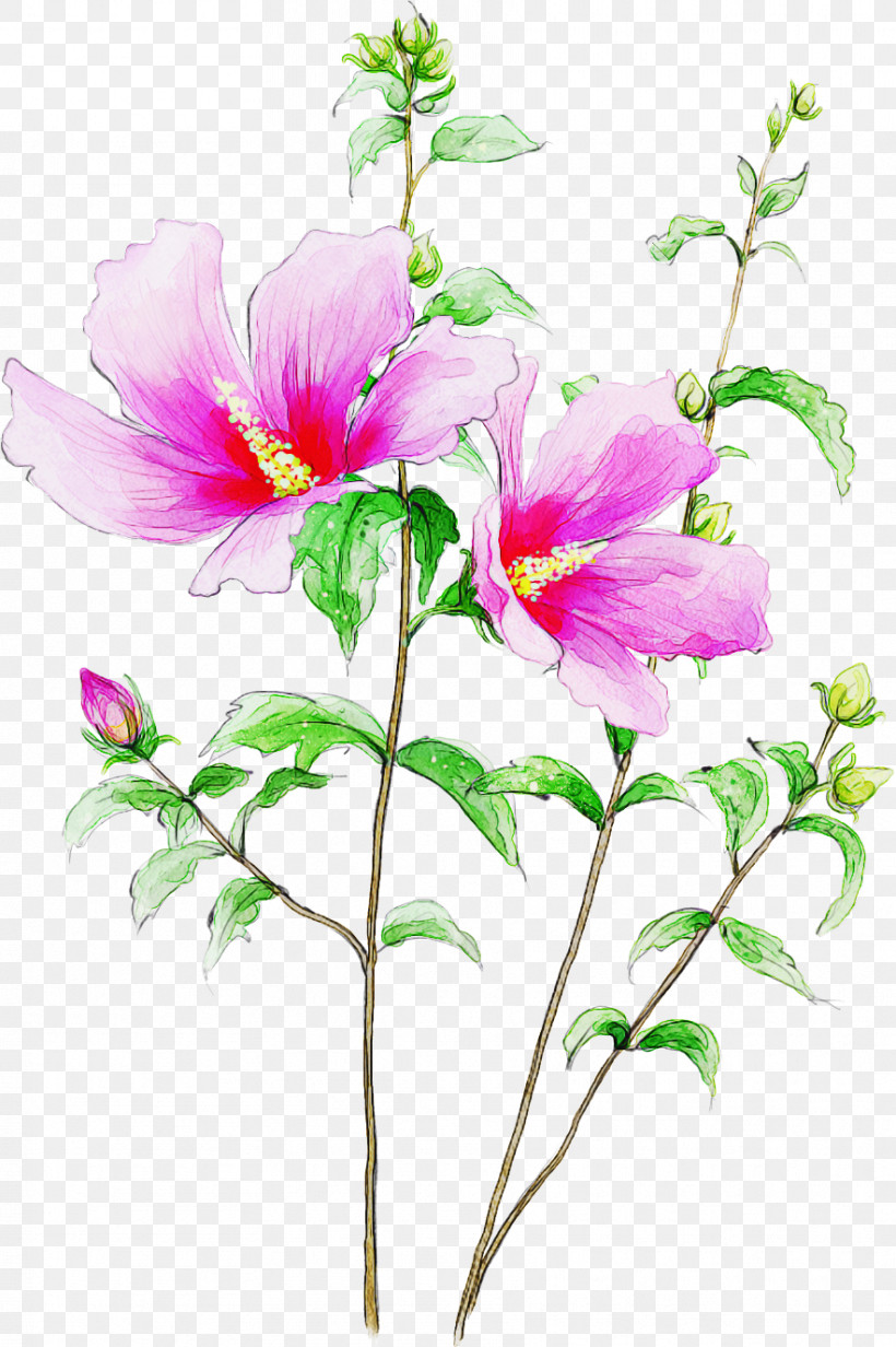 Flower Plant Petal Watercolor Paint Pink, PNG, 883x1327px, Drawing Flower, Cut Flowers, Floral Drawing, Flower, Hawaiian Hibiscus Download Free