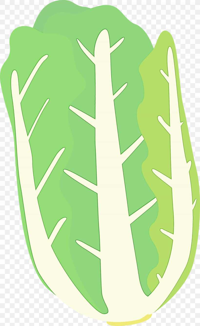 Green Leaf Plant, PNG, 1845x3000px, Nappa Cabbage, Green, Leaf, Paint, Plant Download Free