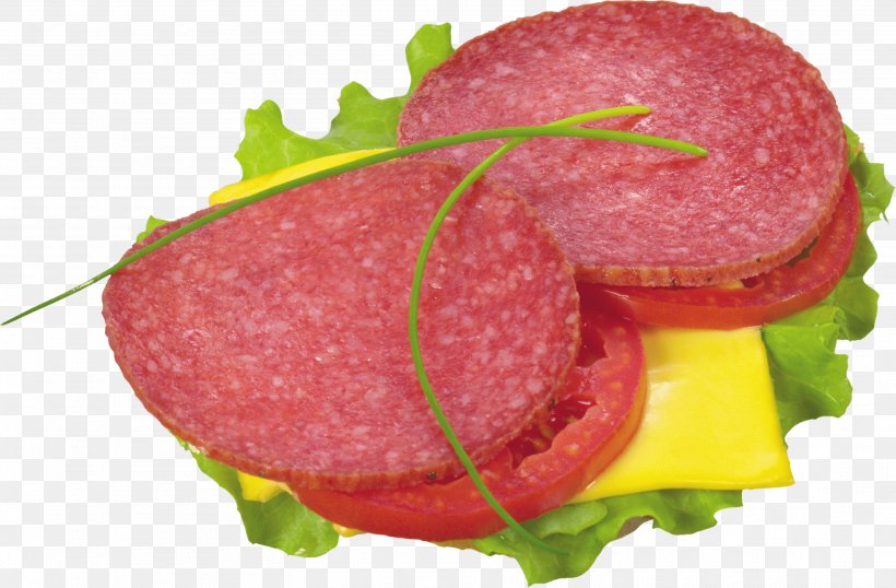 Hamburger Butterbrot Cheeseburger Sandwich, PNG, 3127x2054px, Hamburger, Back Bacon, Bologna Sausage, Bread, Bresaola Download Free