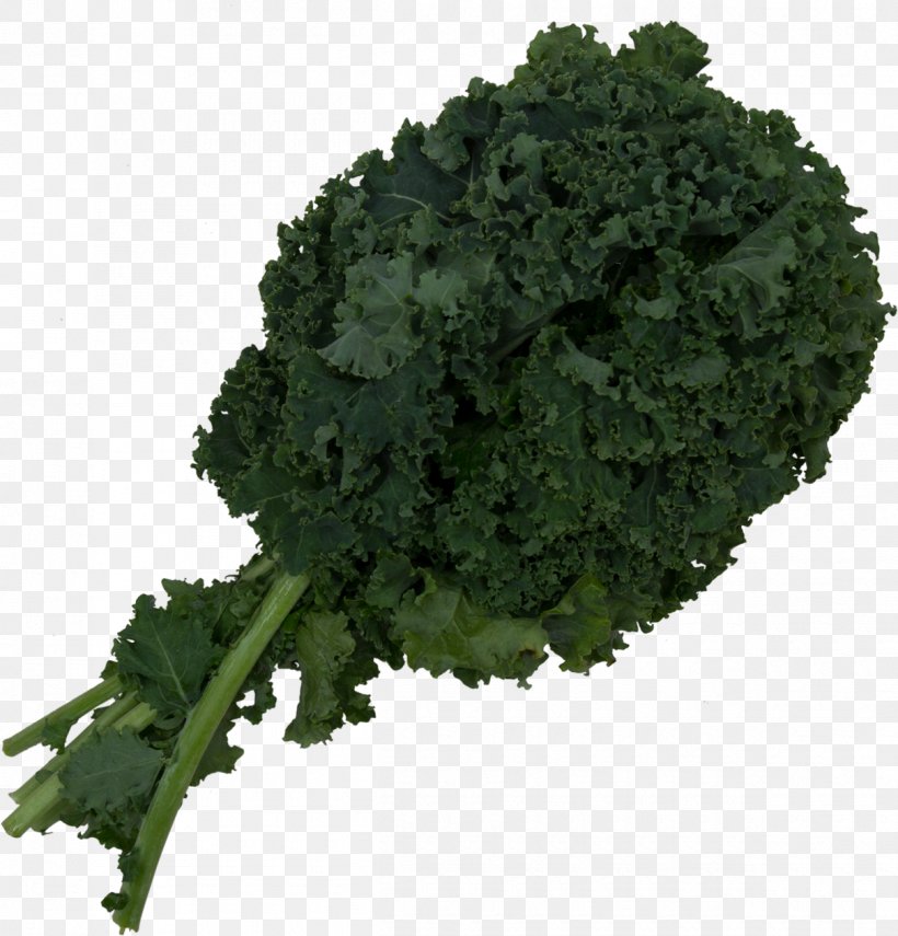 Kale Smoothie Collard Greens Spring Greens Broccoli, PNG, 1210x1263px, Kale, Avocado, Broccoli, Collard Greens, Food Download Free