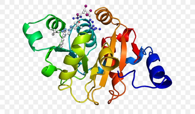 Protein Gene Expression Ketol-acid Reductoisomerase Clip Art, PNG, 640x480px, Protein, Area, Art, Artwork, Cell Download Free