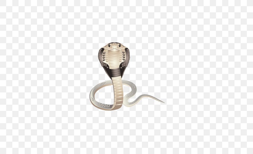 Snake King Cobra Icon Png 500x500px Snake Body Jewelry Cobra