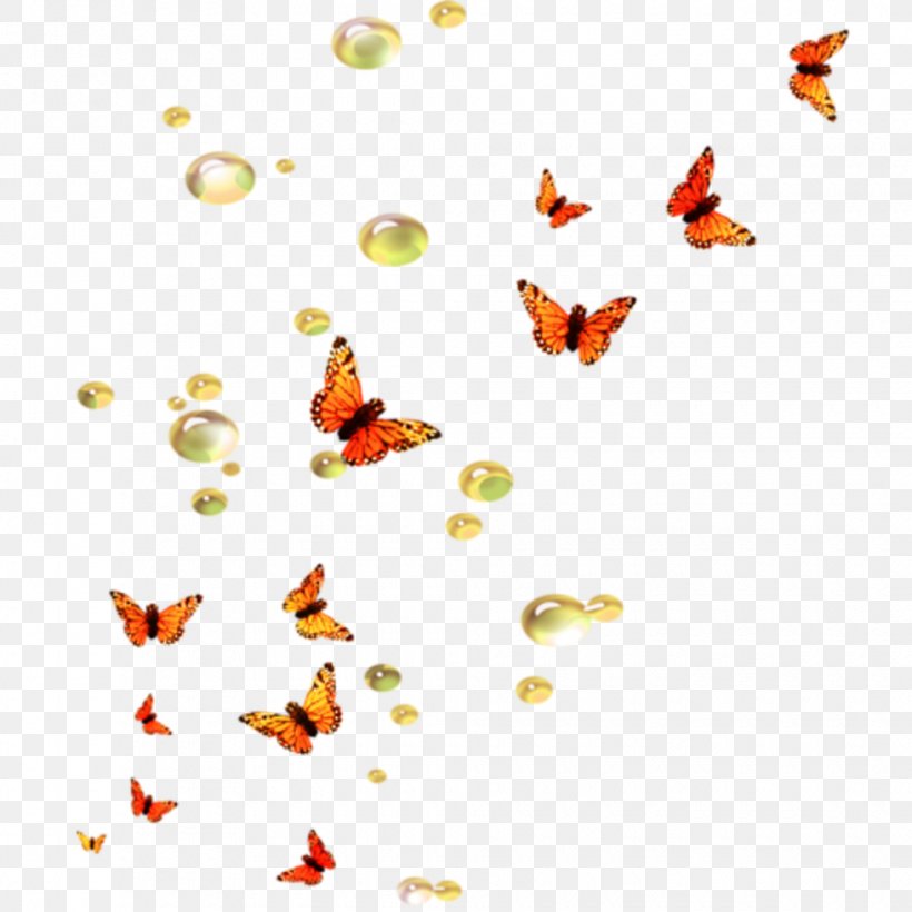 Butterfly Clip Art, PNG, 980x980px, Butterfly, Editing, Insect, Invertebrate, Leaf Download Free
