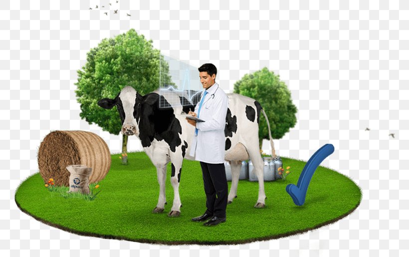 Cattle Health Milk Medicine Physician, PNG, 766x515px, Cattle, Animal Husbandry, Clinical Nutrition, Eating, Grass Download Free